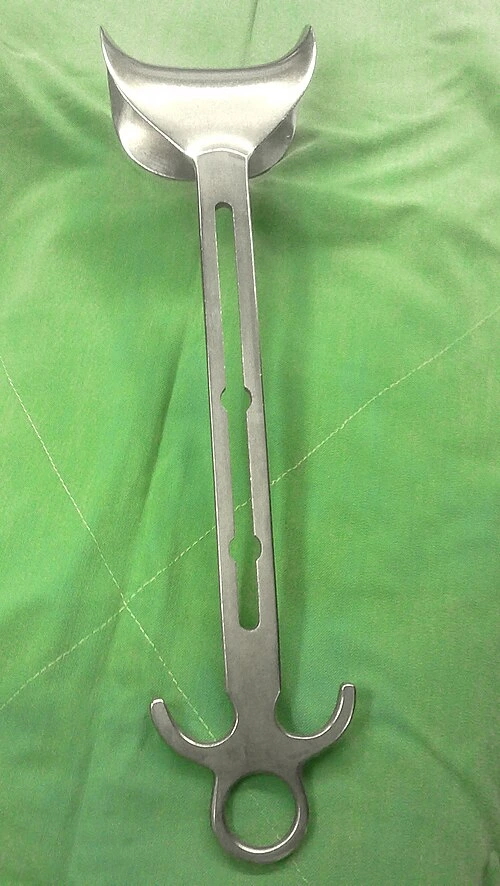 A broad smooth cupped metal blade joins a long flat handle with a shaped grip.
