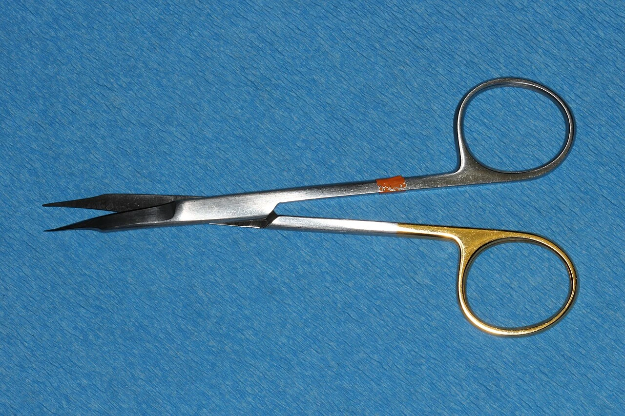 Slender scissors have long narrow slightly curved blades, rounded tips and round finger rings.